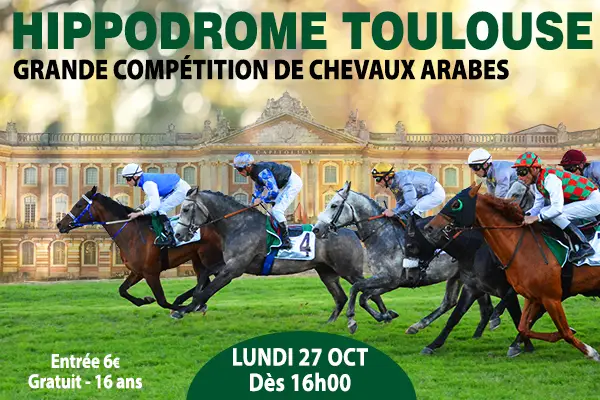 CHEVAUX ARABES 2025 - HPDT 600X400