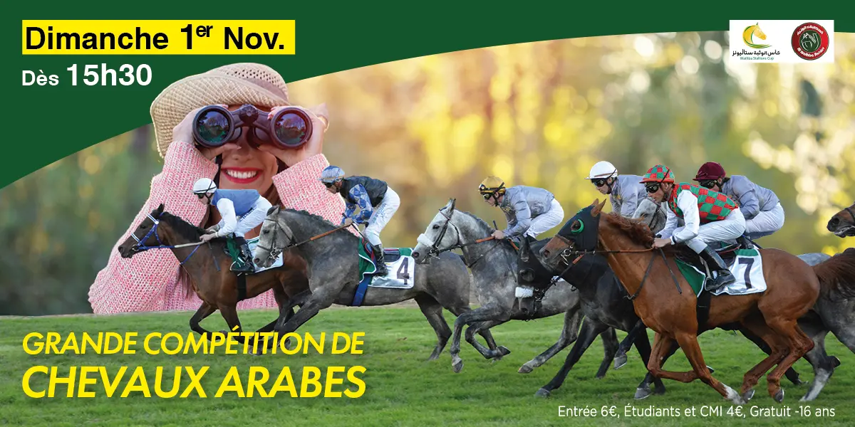CHEVAUX-ARABES-20261101-1200X600